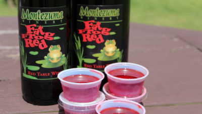 Fat Frog Red Jell-O shots
